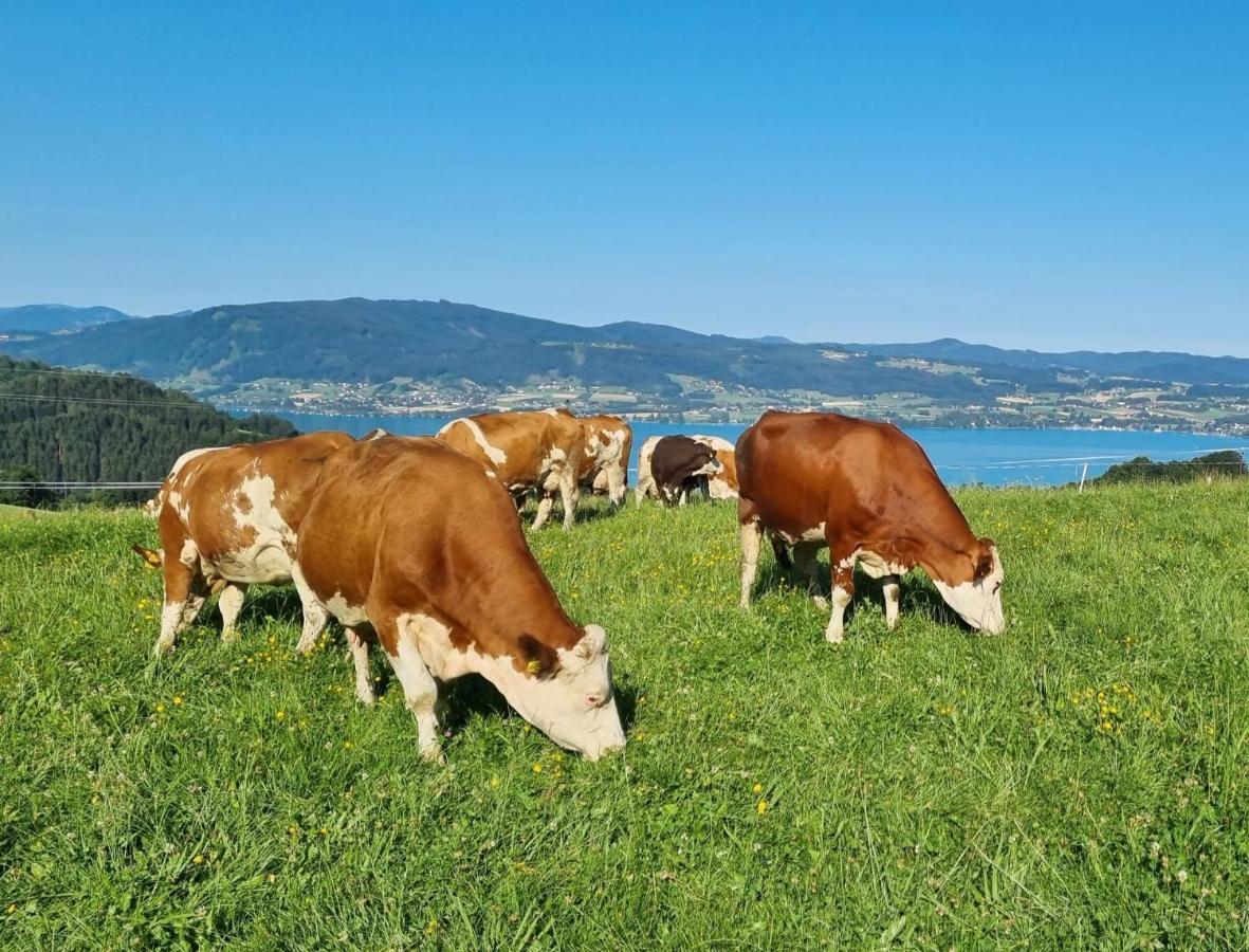 Ferienwohnungen Schoebringer Weyregg Luaran gambar